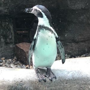 Meet your Posher, Bronwen